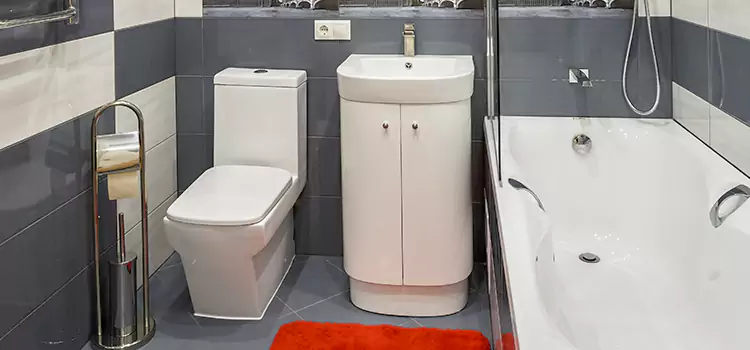 Hansgrohe Shaving Mirror Bullhead City